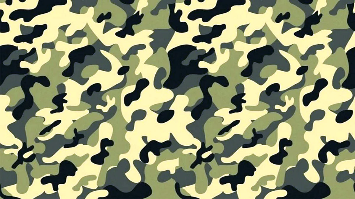 Camouflage texture Wallpaper