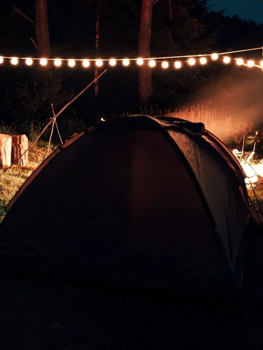 Camping Night Wallpaper
