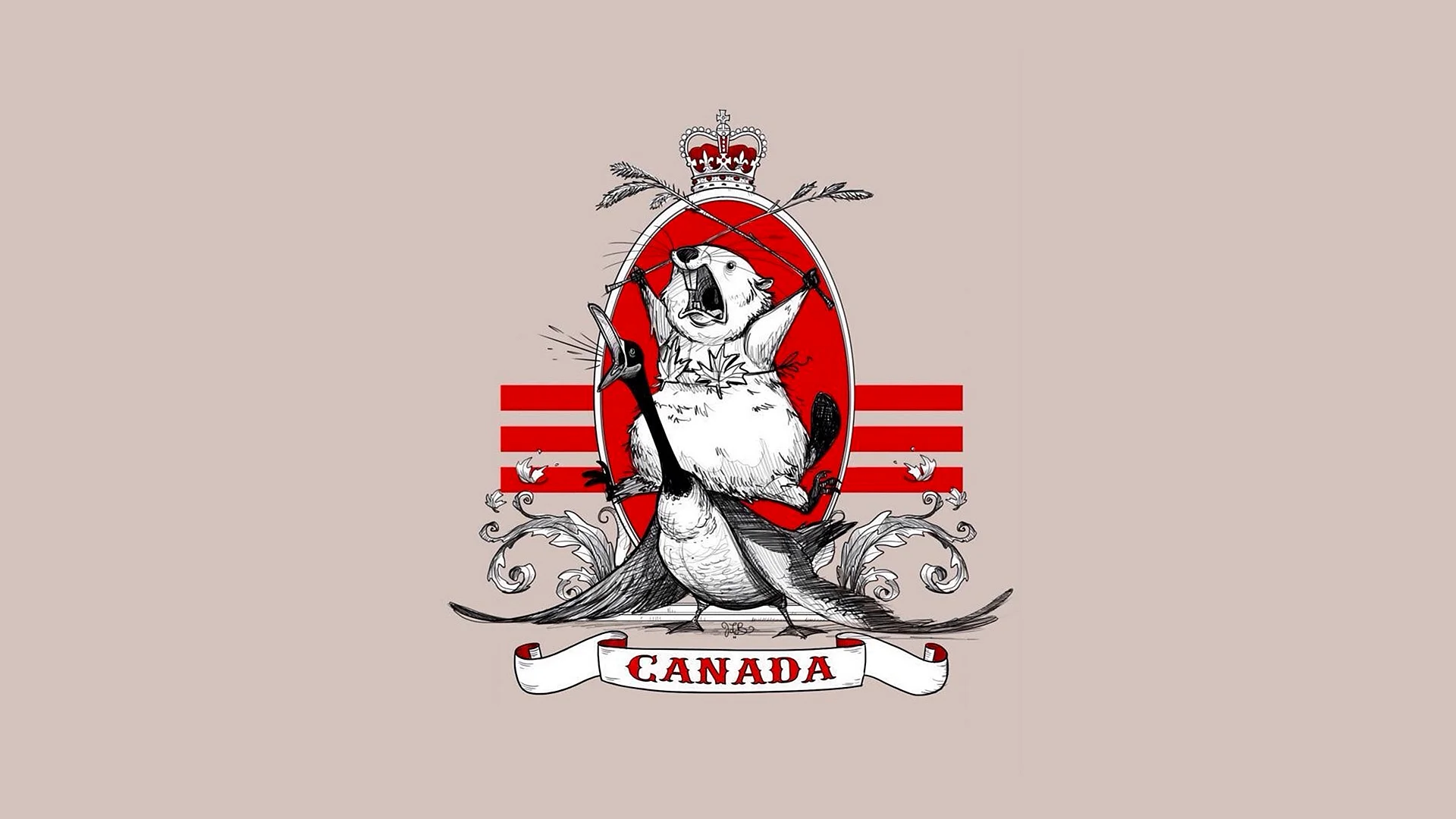 Canada beaver Wallpaper