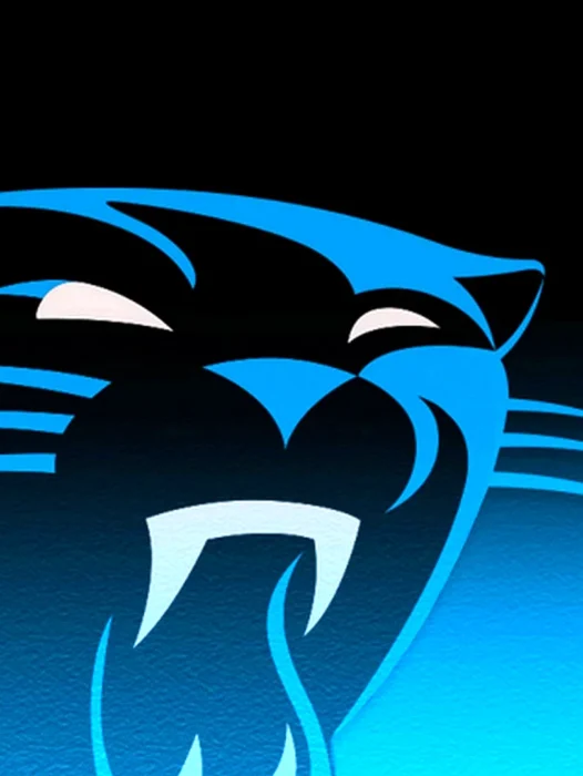 Carolina Panthers 2022 Wallpaper