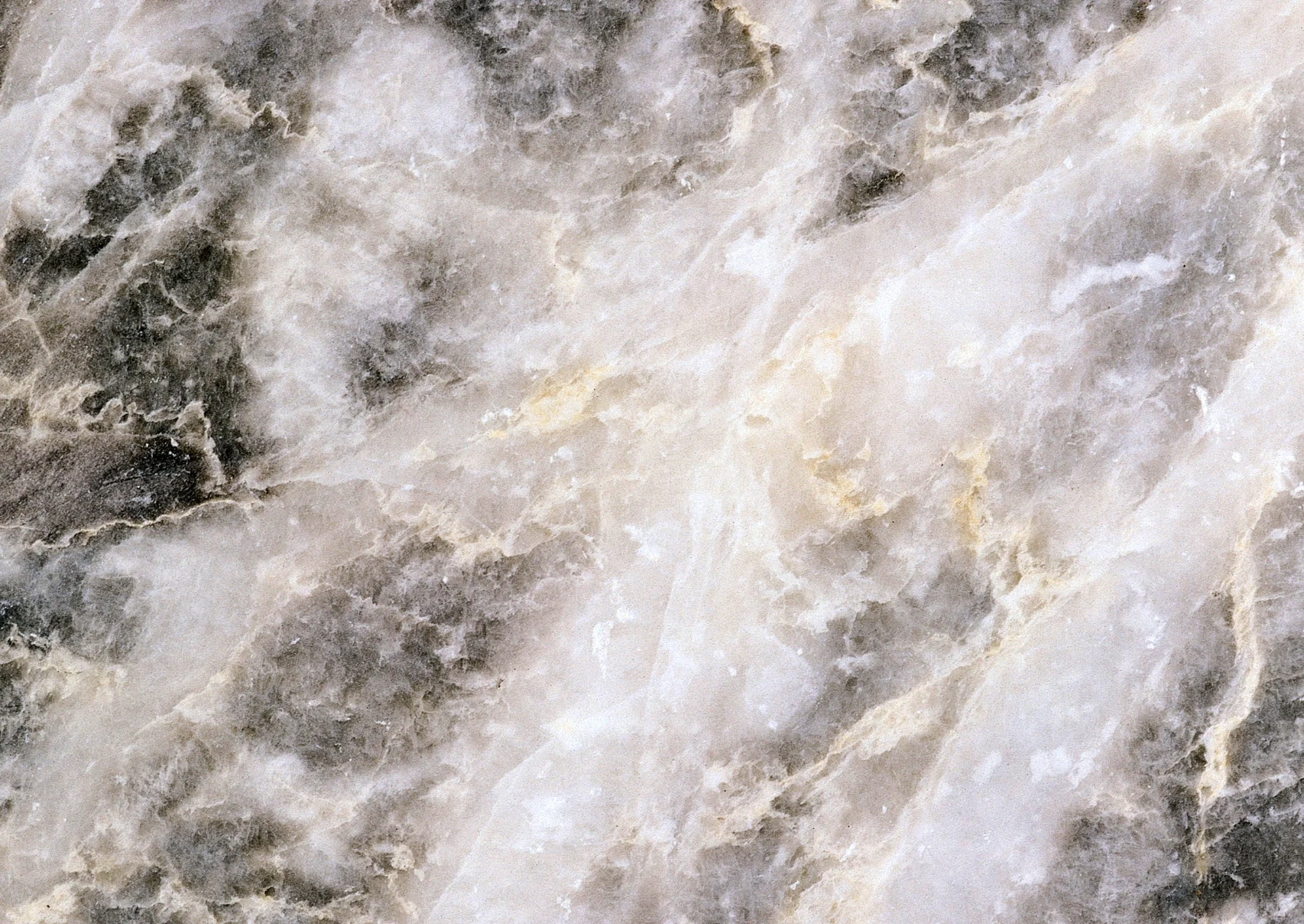 Carrara Marble texture