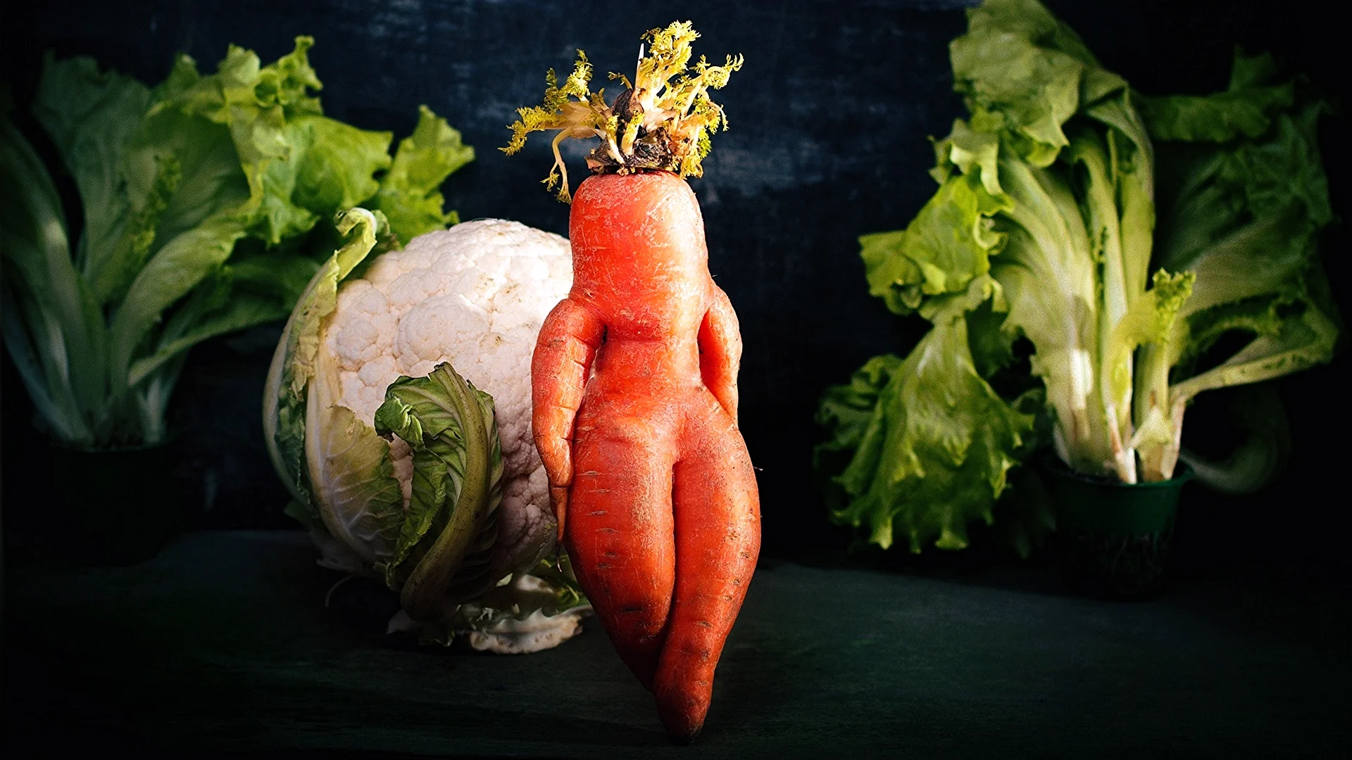 Carrot Cabbage Wallpaper