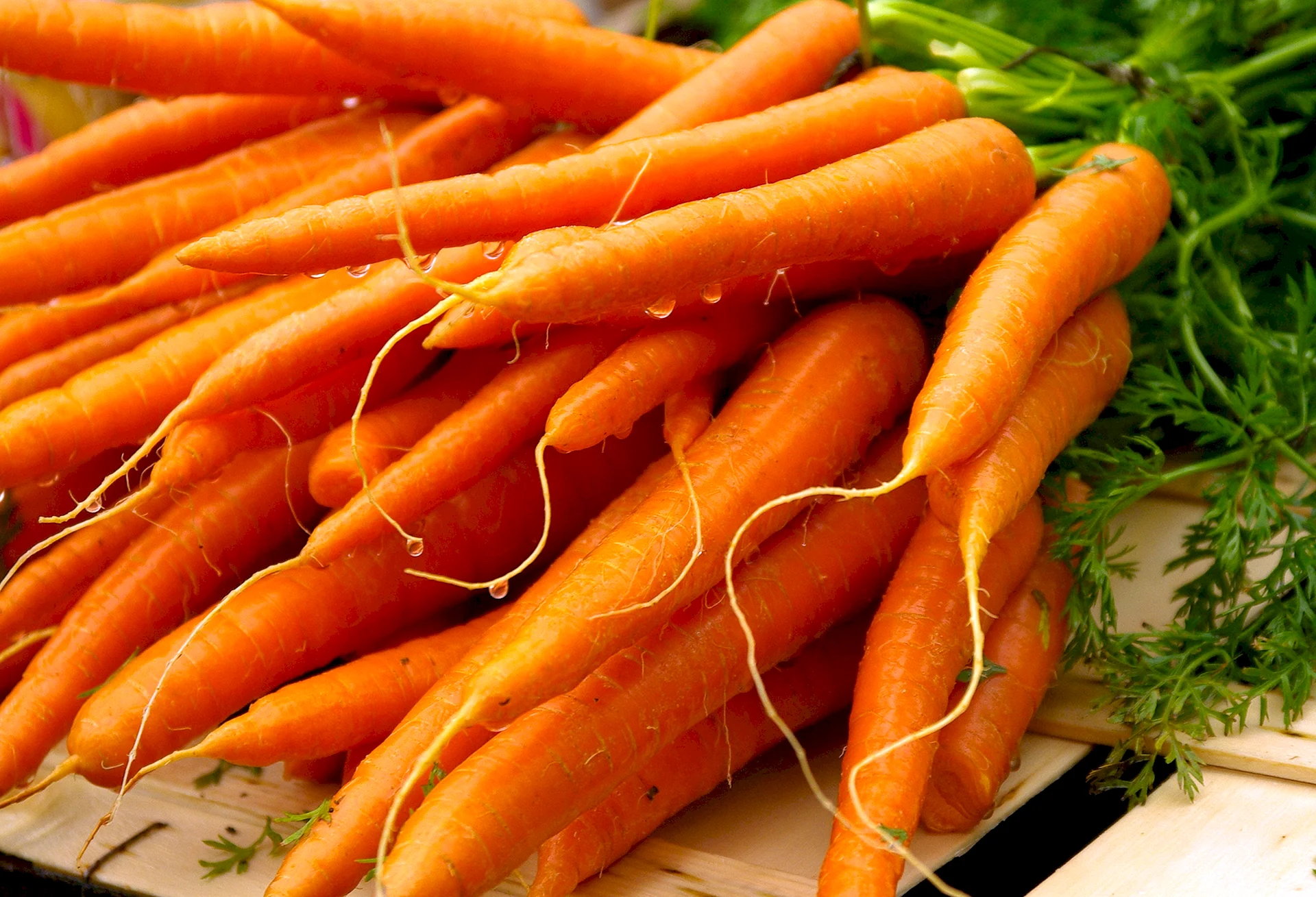 Carrots Wallpaper