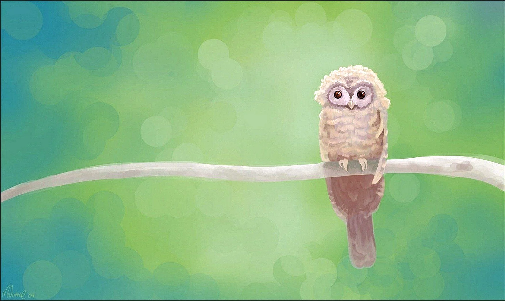 Cartoon Owl Wallpaper