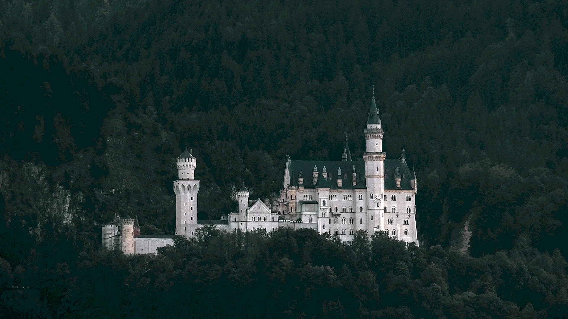 Castle Neuschwanstein Mist Wallpaper