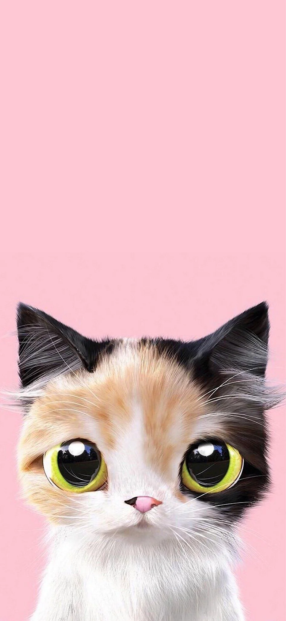 Cat Meow Wallpaper For iPhone