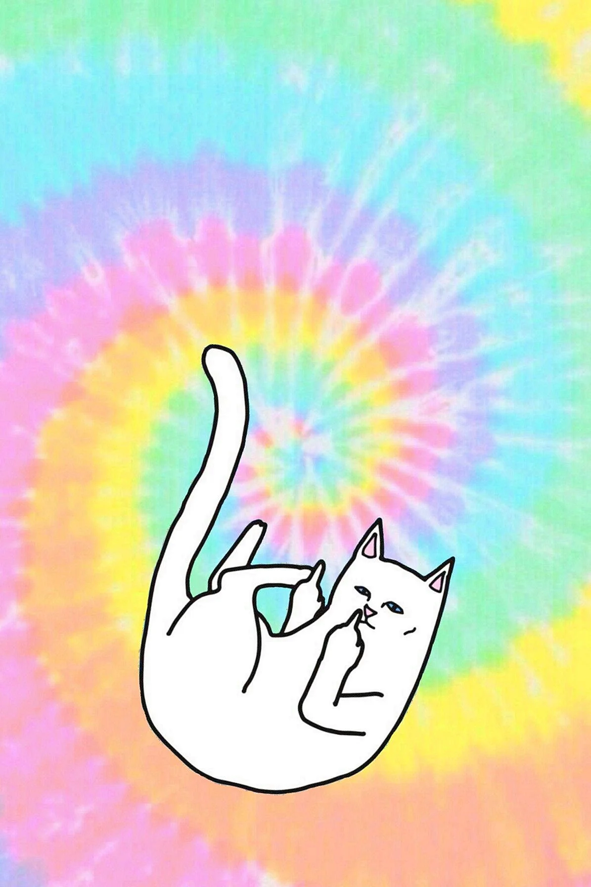 Cat Middle Finger Wallpaper