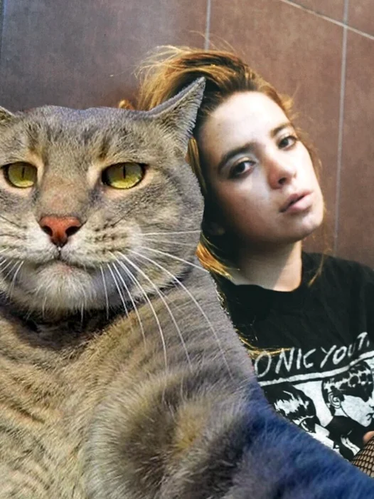 Cat selfie Wallpaper