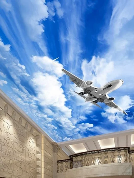 Ceiling Plane Wallpaper