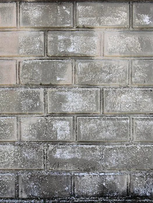 Cement Wall Tile Wallpaper