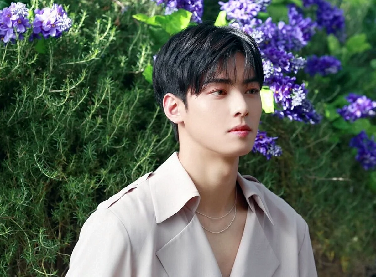 Cha Eun Woo Wallpaper