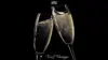 Champagne Glass Wallpaper