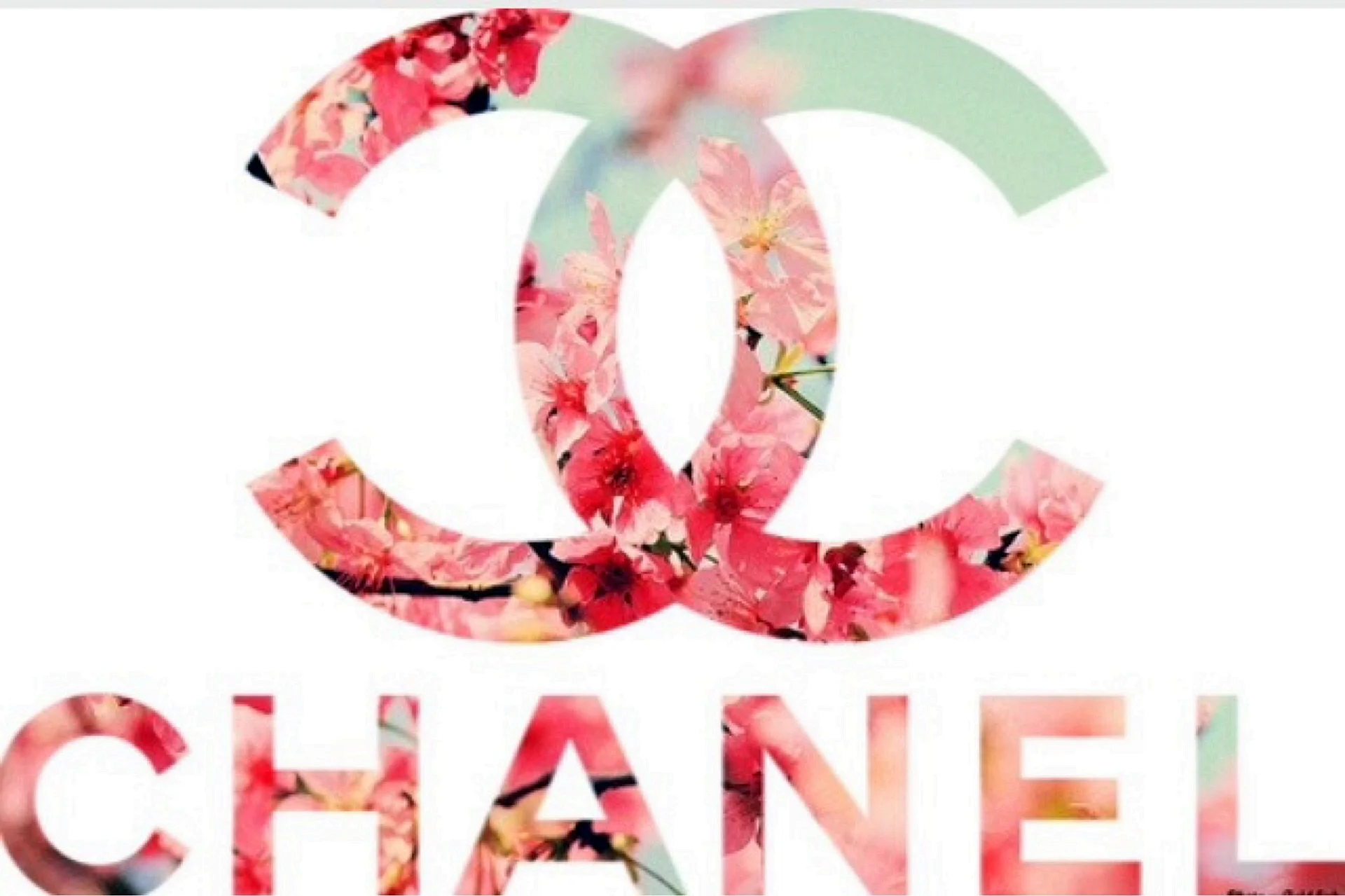 Chanel Pink Logo Wallpaper