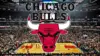 Chicago bulls Wallpaper