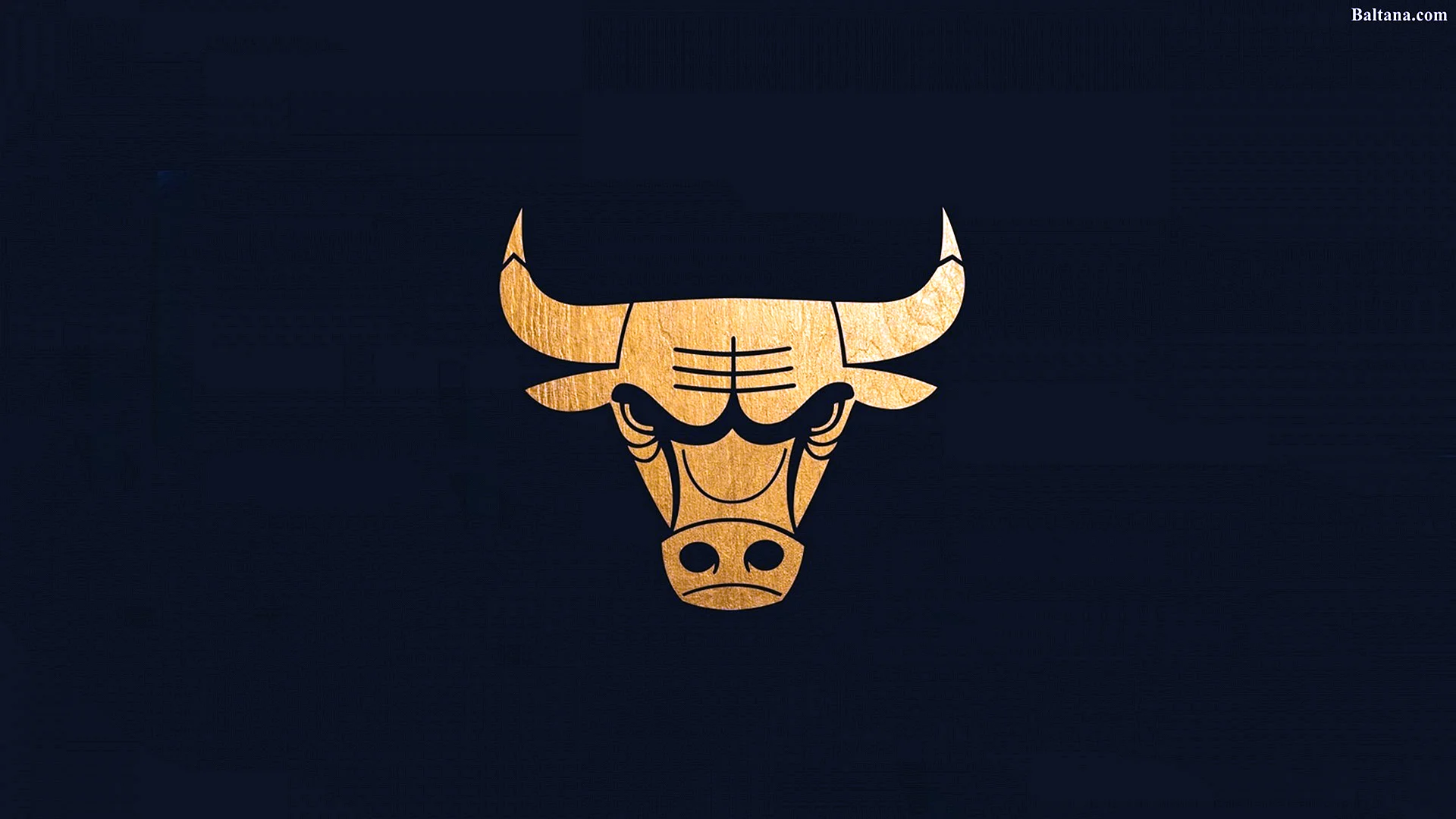 Chicago bulls Wallpaper