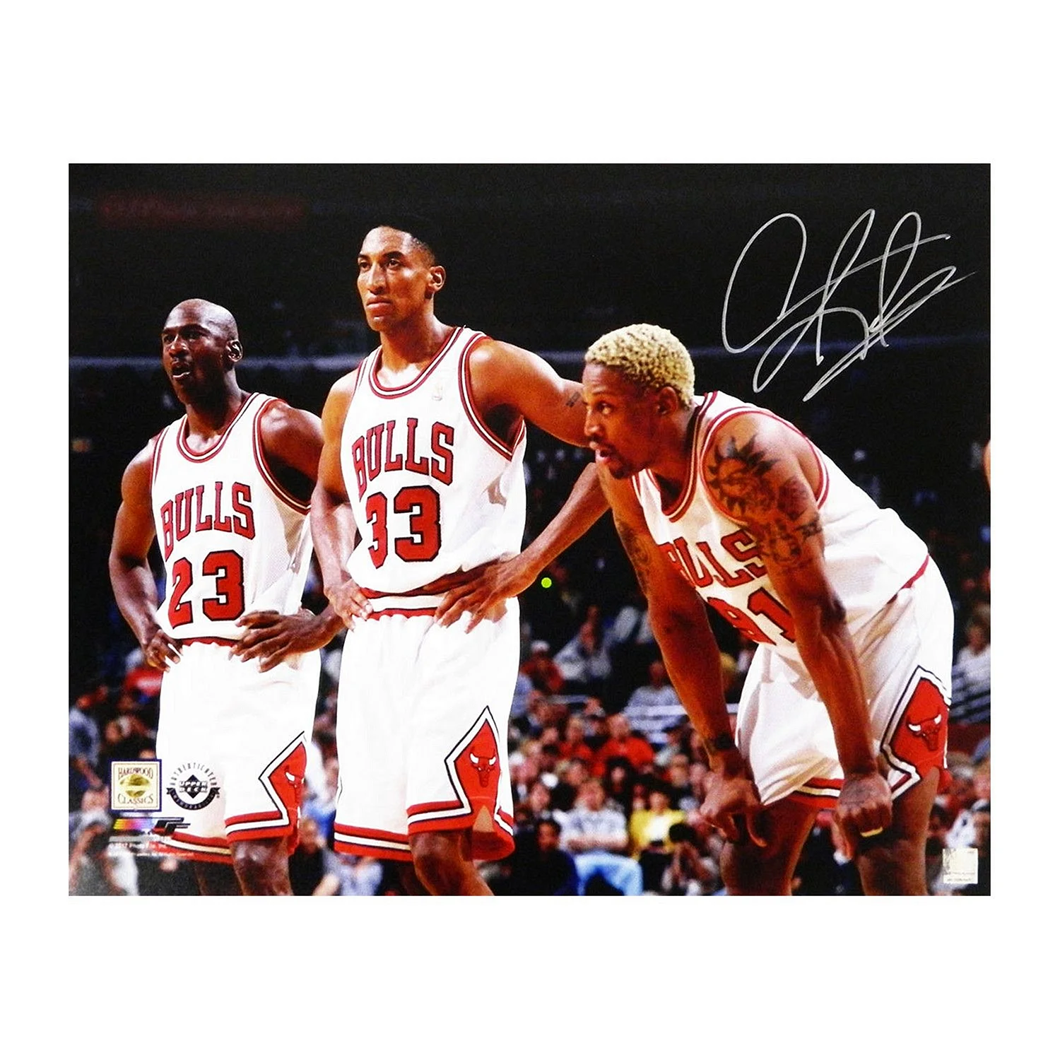 Chicago Bulls Michael Jordan Pippen Rodman Wallpaper