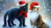 Christmas Cat Wallpaper