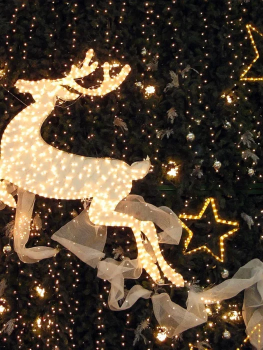 Christmas Deer Wallpaper