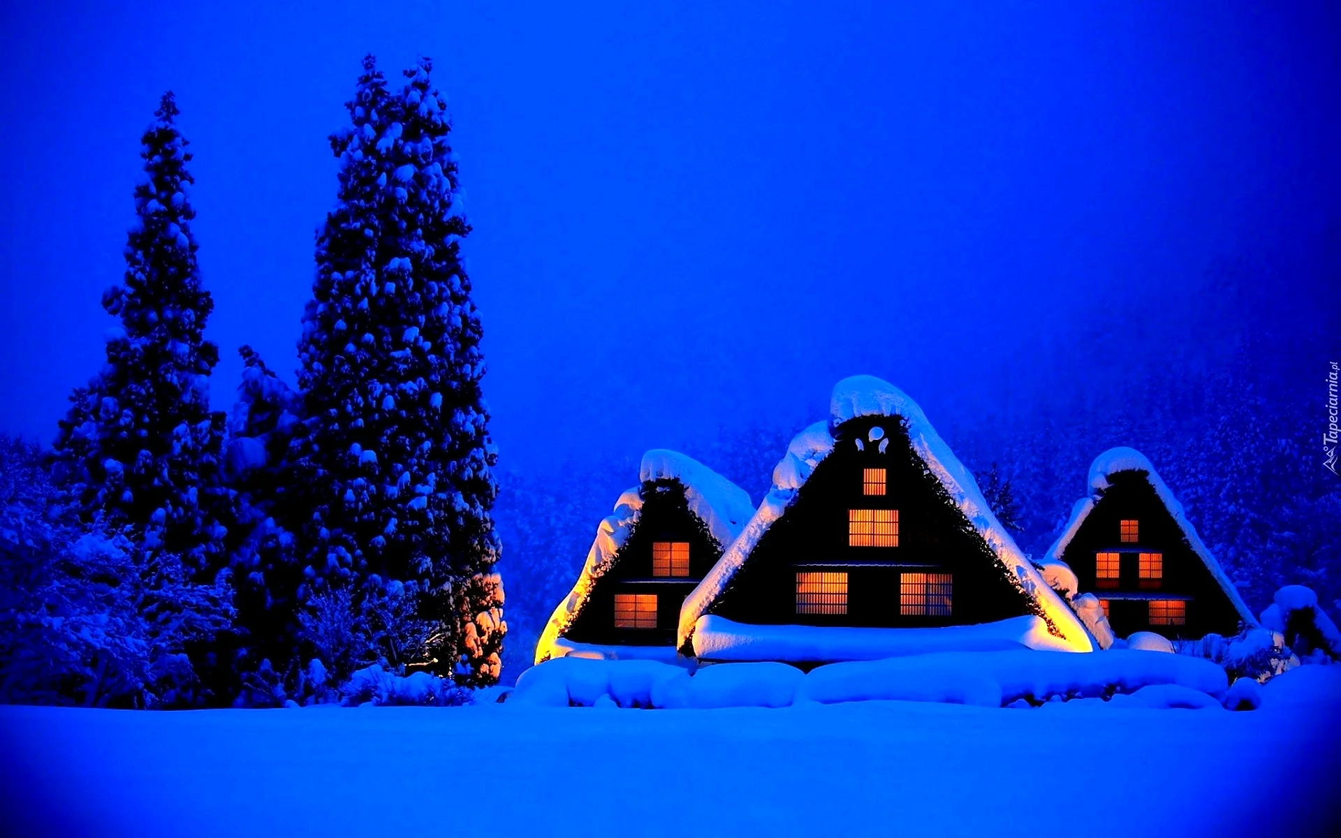 Christmas Night Wallpaper