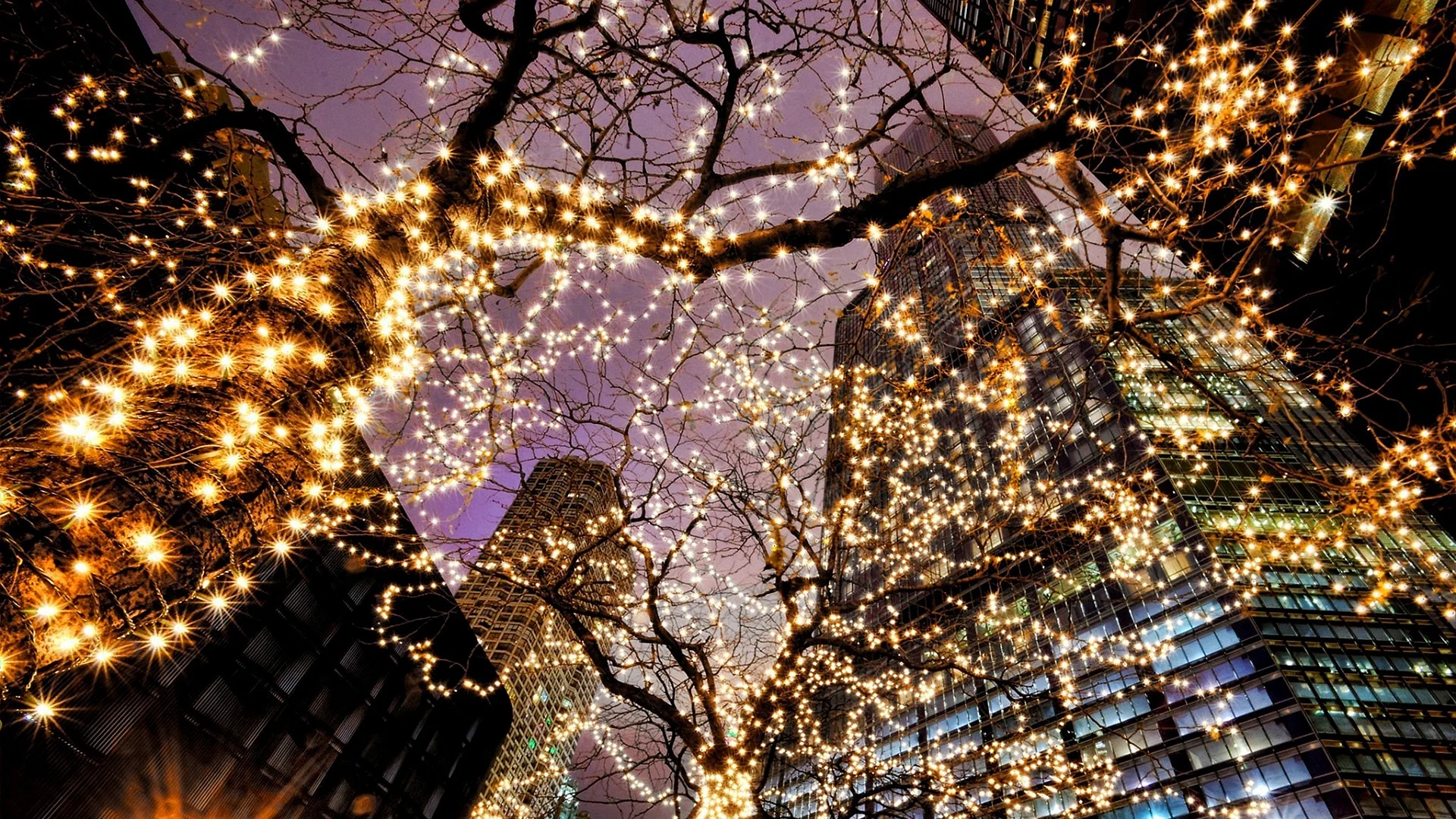 Christmas Night City Wallpaper