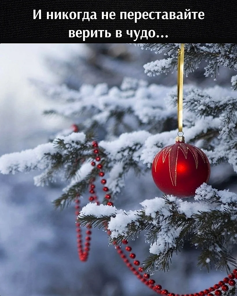 Christmas Snow Wallpaper For iPhone