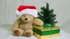 Christmas Teddy Bear Wallpaper