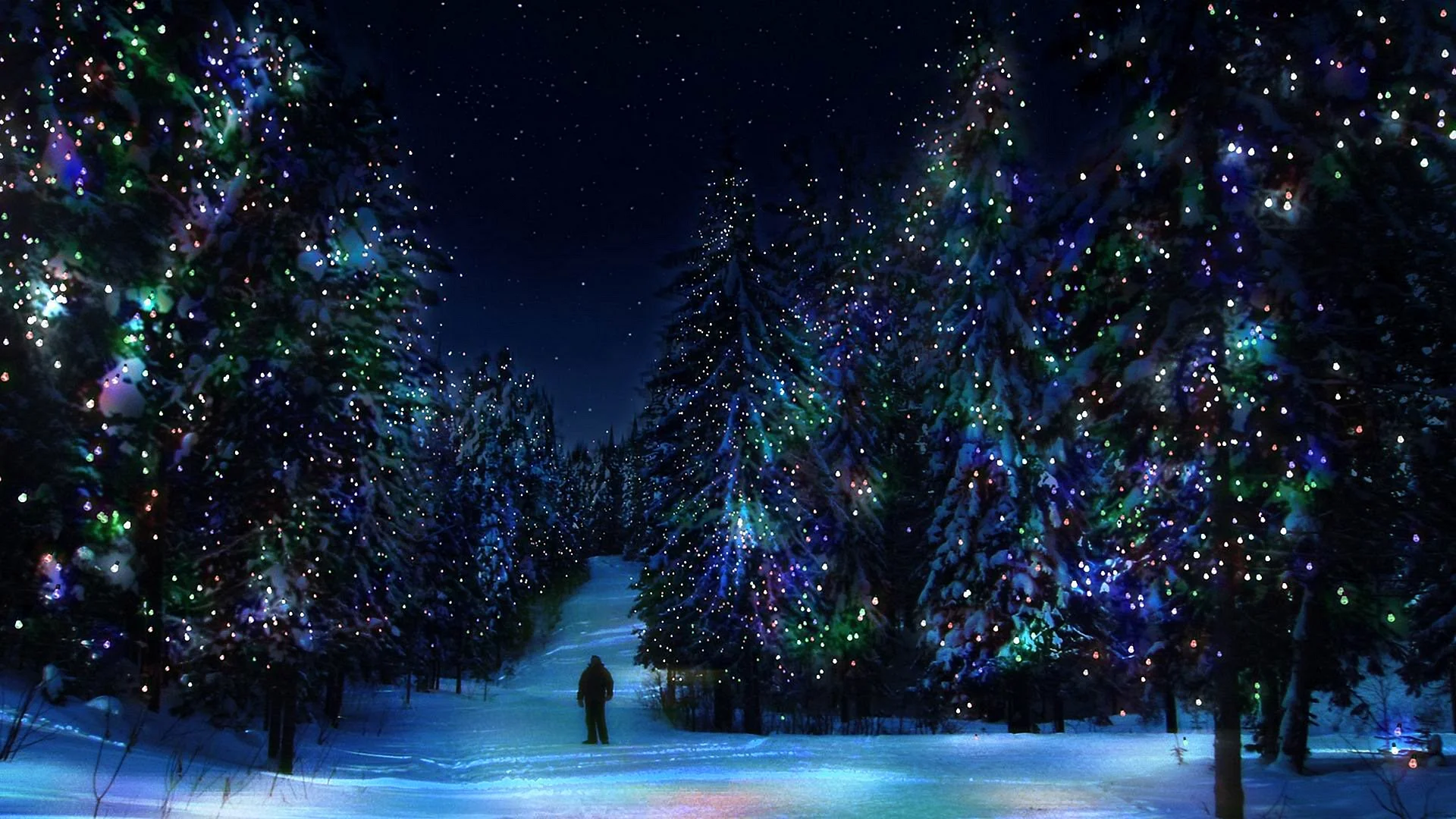 Christmas Tree Night Wallpaper