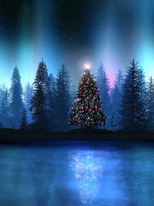 Christmas Tree Night Wallpaper