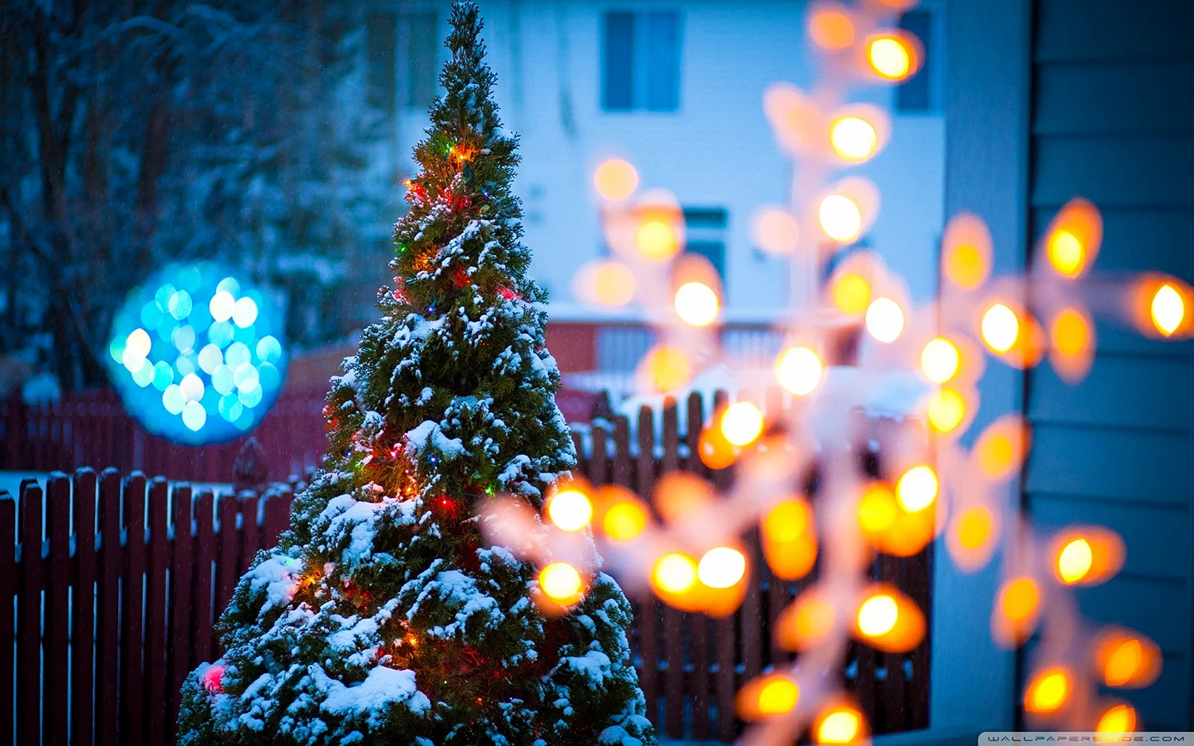 Christmas Tree Shutterstock Wallpaper