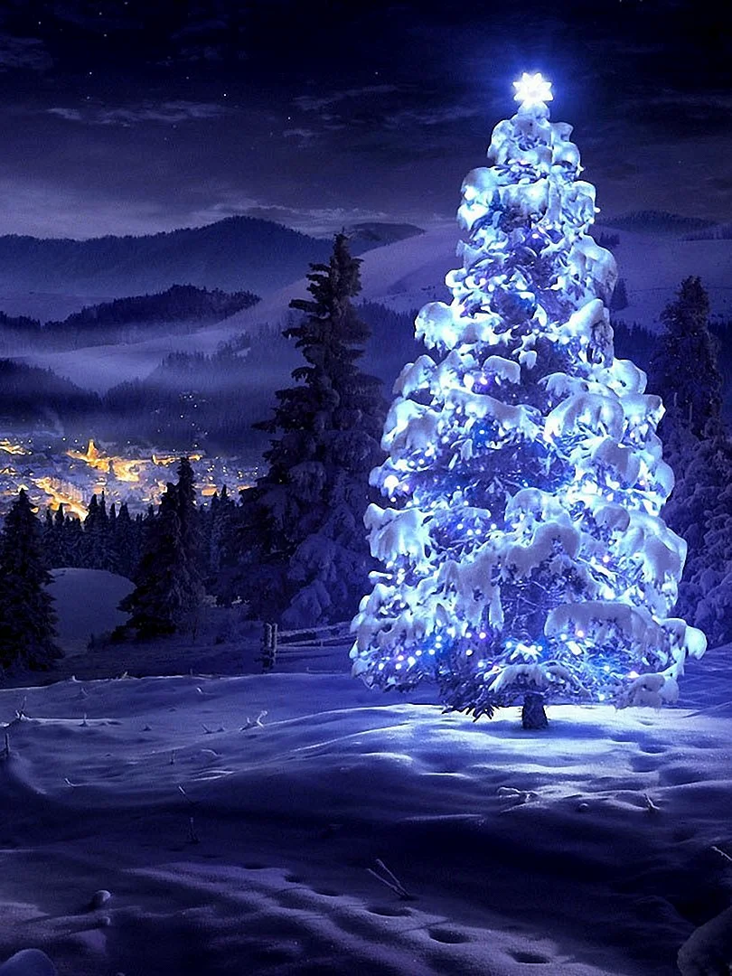 Christmas Winter Wallpaper For iPhone