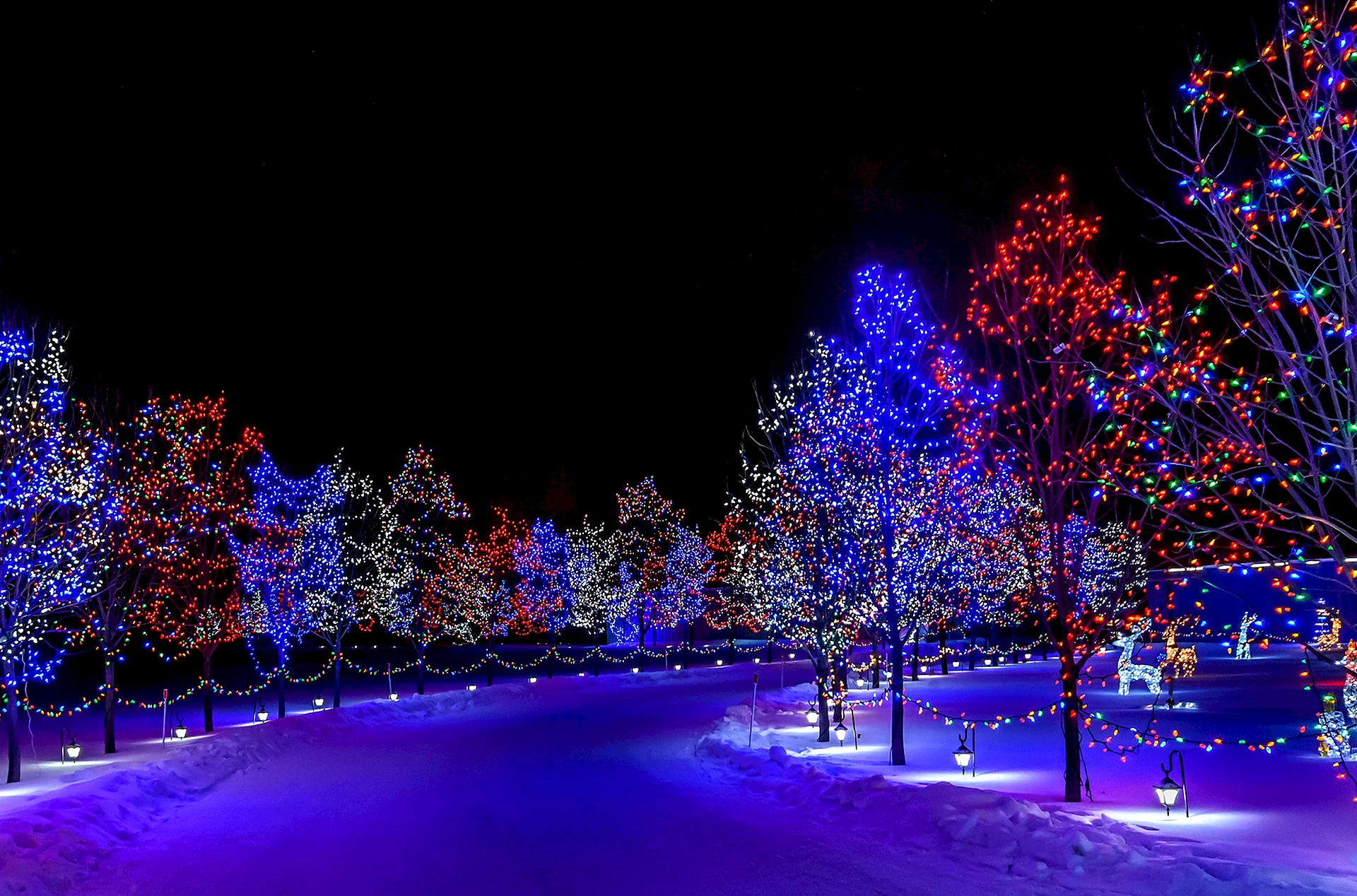 Christmas Winter Night Wallpaper