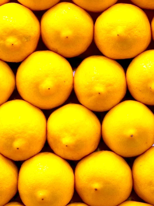 Citrus Lemon Wallpaper For iPhone