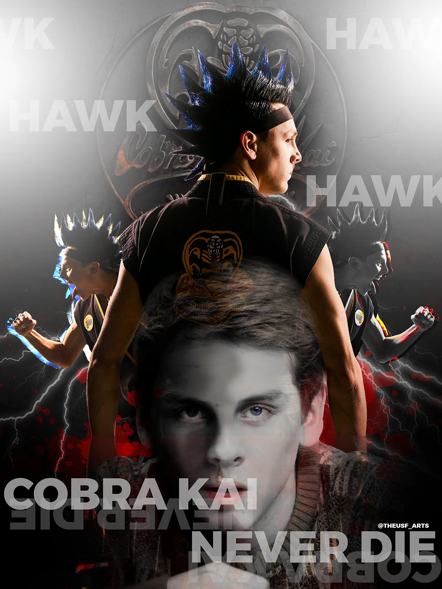 Cobra Kai Hawk Wallpaper