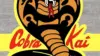 Cobra Kai Wallpaper For iPhone