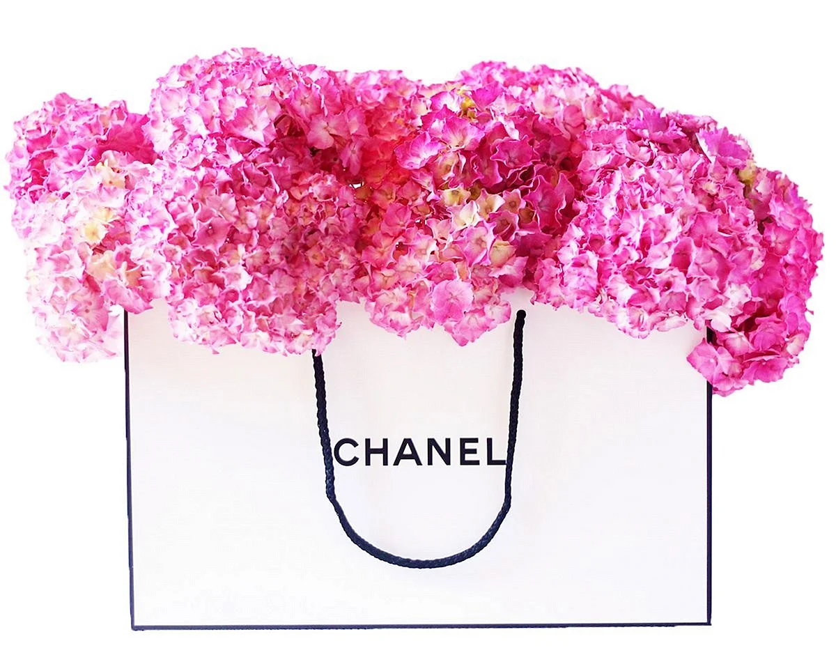 Coco Chanel Wallpaper