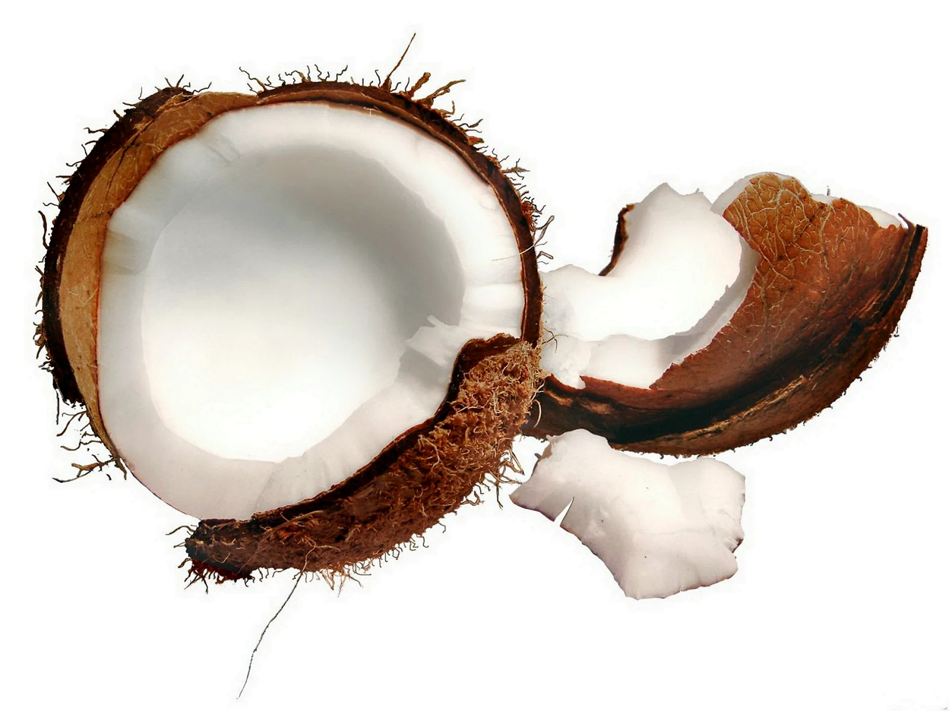 Coconut Wallpaper