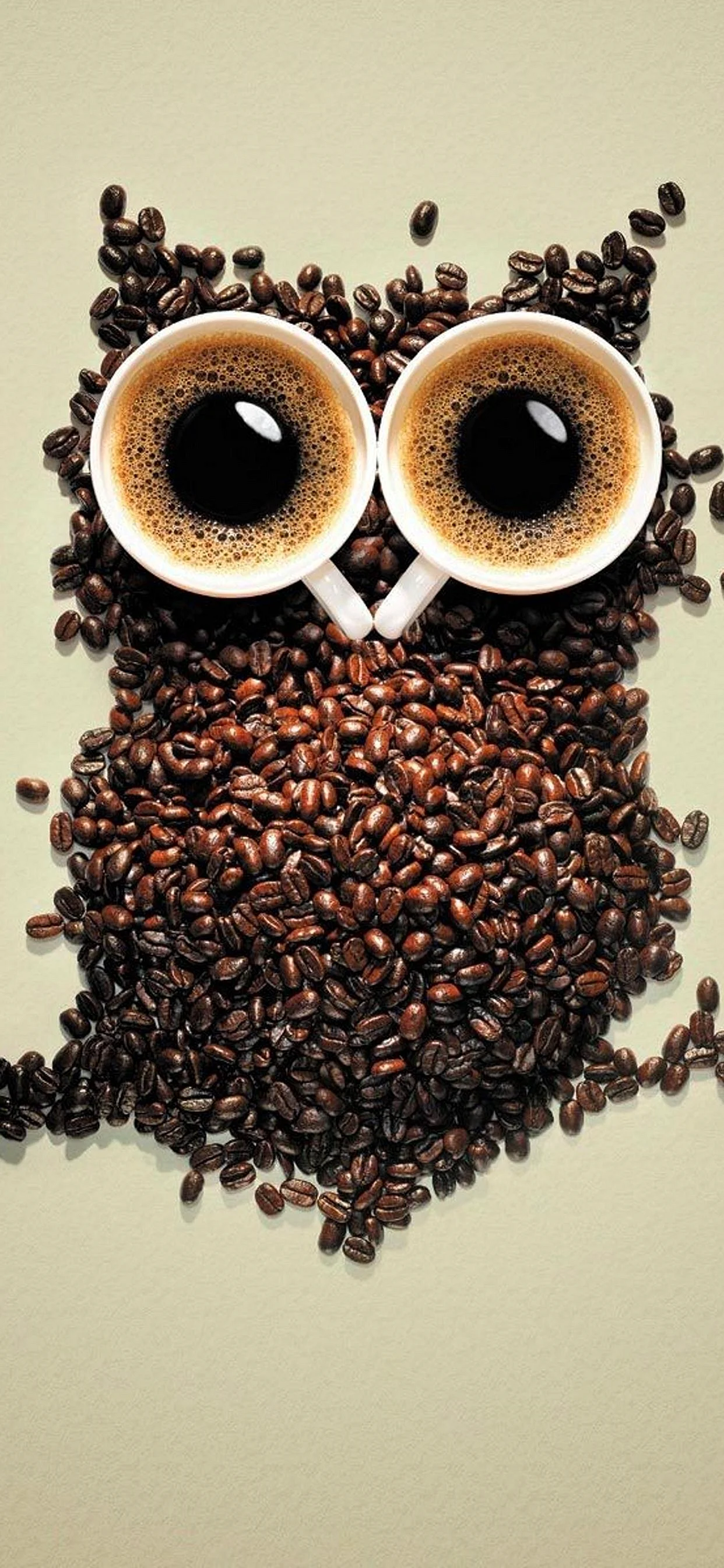 Coffee Owl Wallpaper for iPhone 11 Pro Max