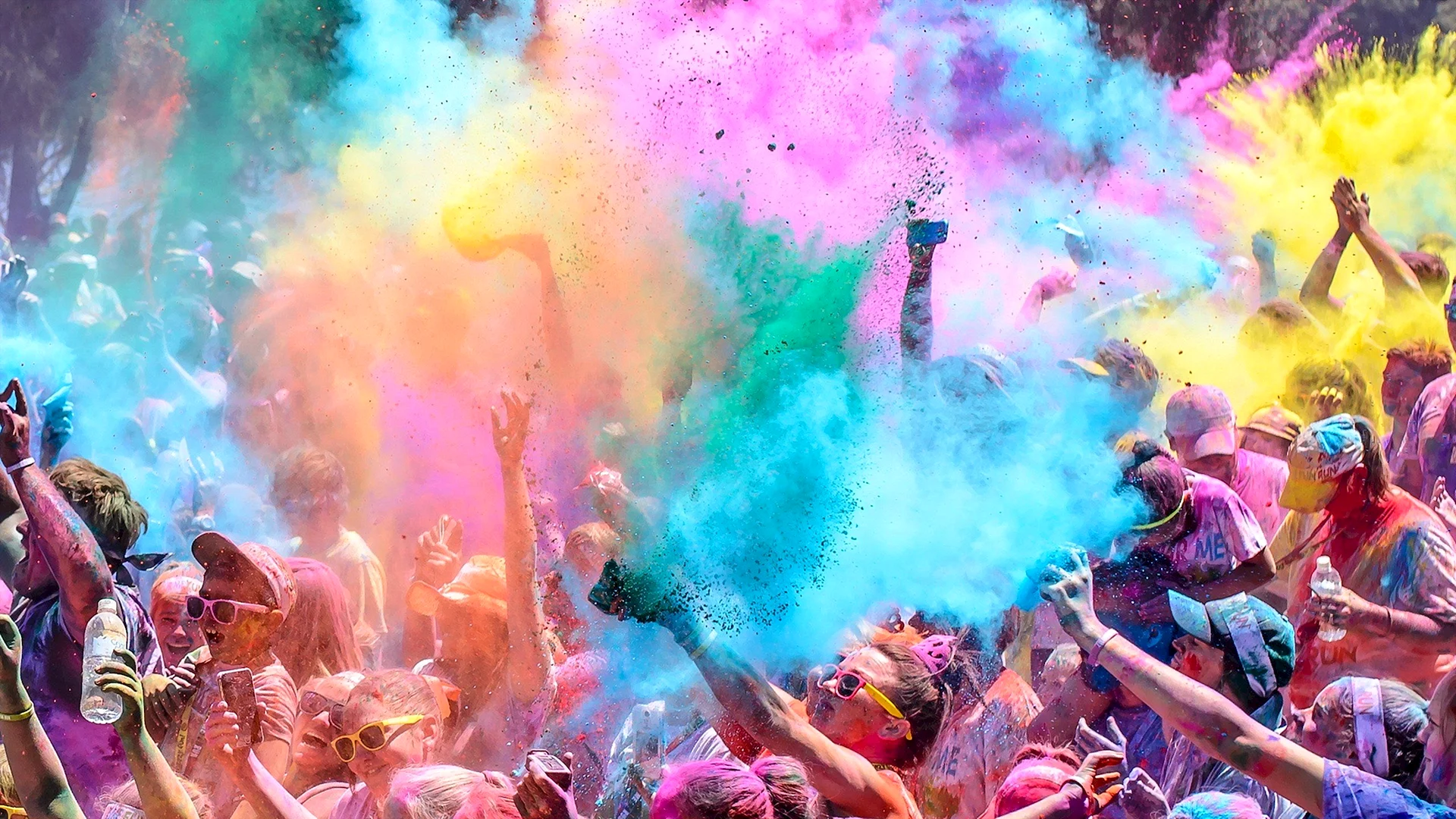 Colorfest Wallpaper