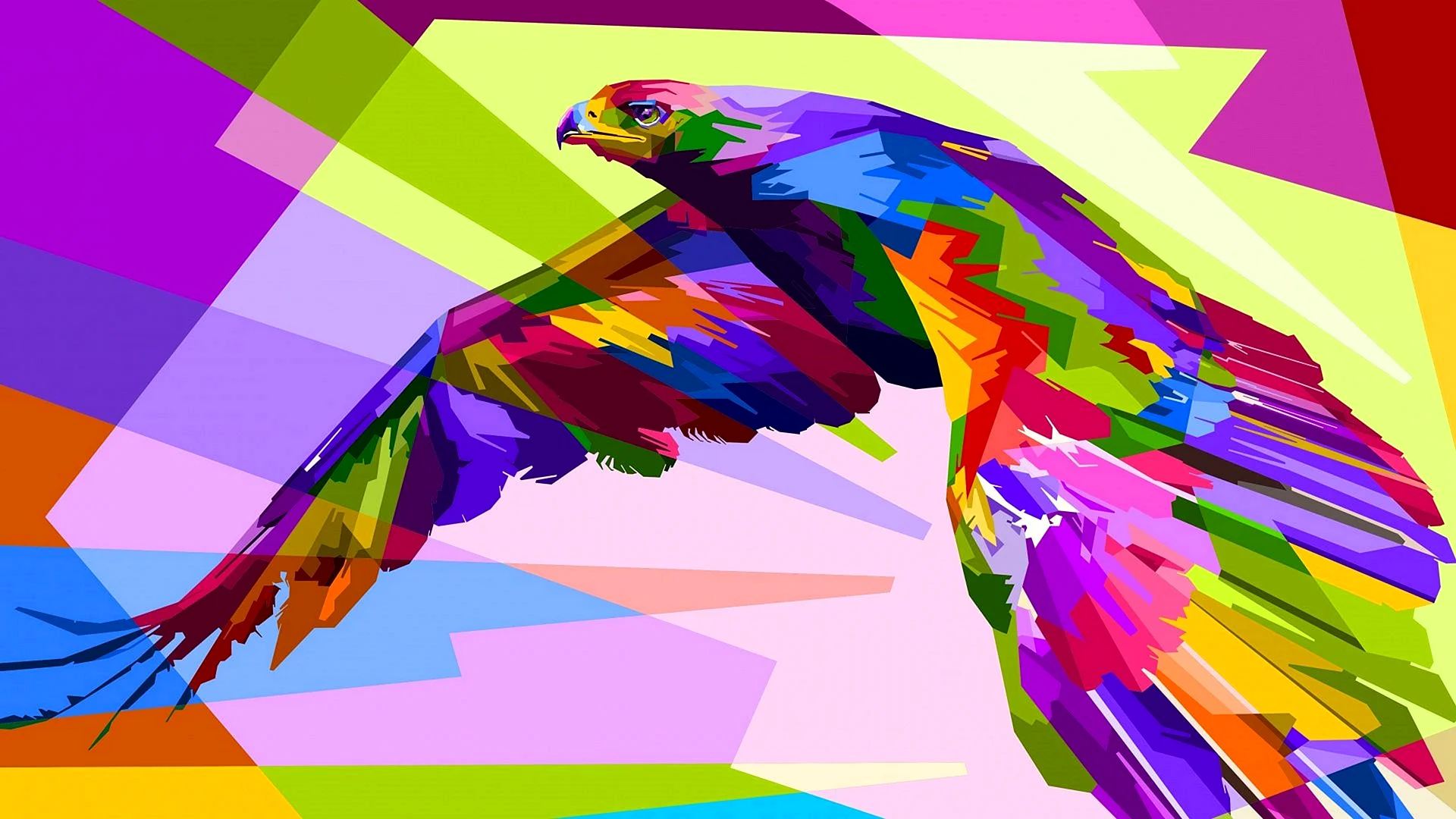 Colorful Animal Wallpaper