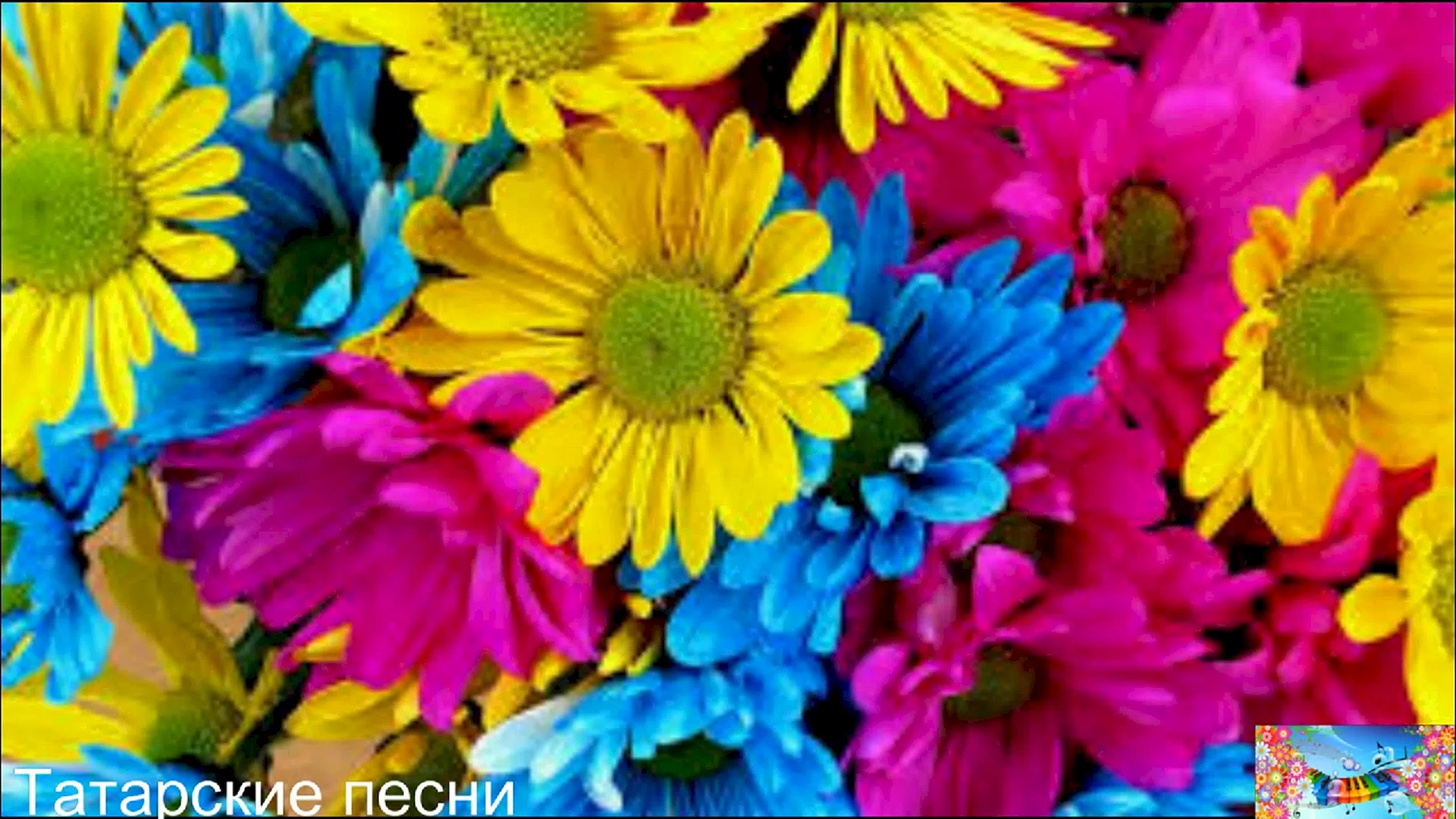 Colorful Flower Background Wallpaper