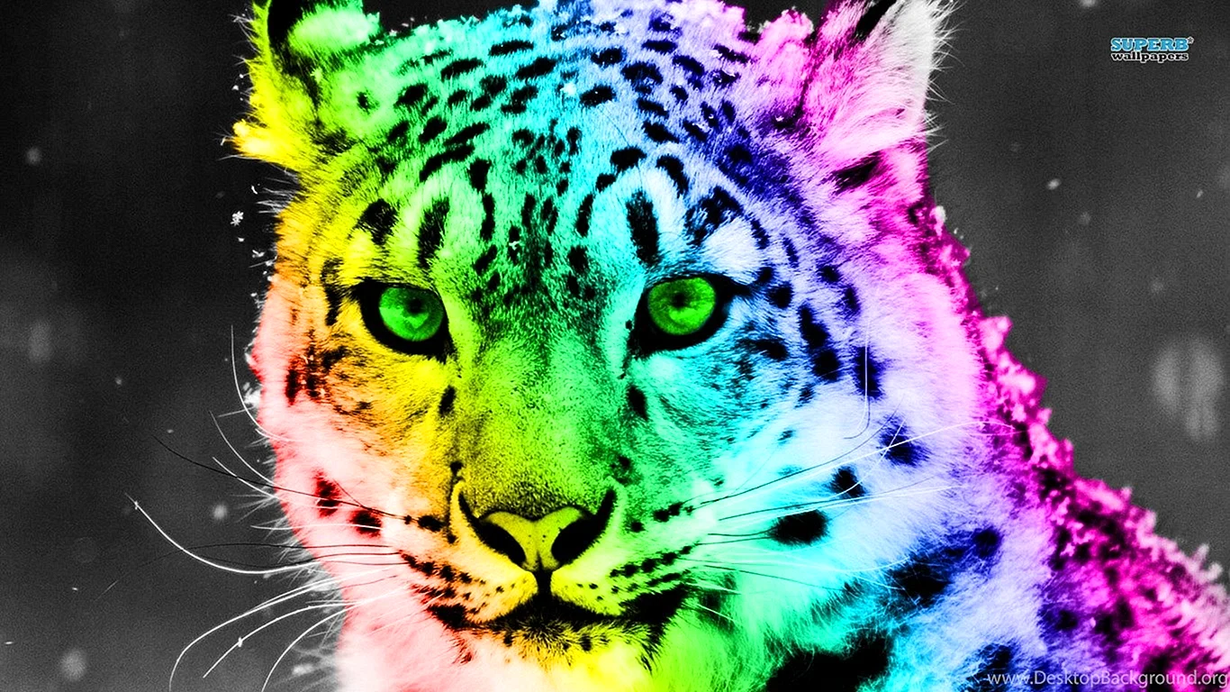 Colorful Leopard Wallpaper