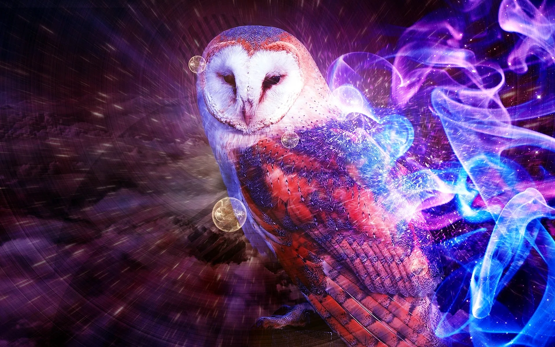 Colorful Owl Wallpaper