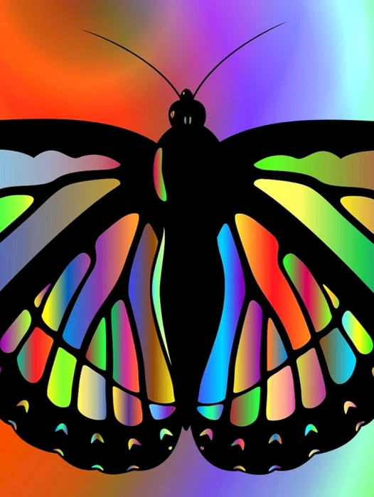 Colourful Butterfly Wallpaper
