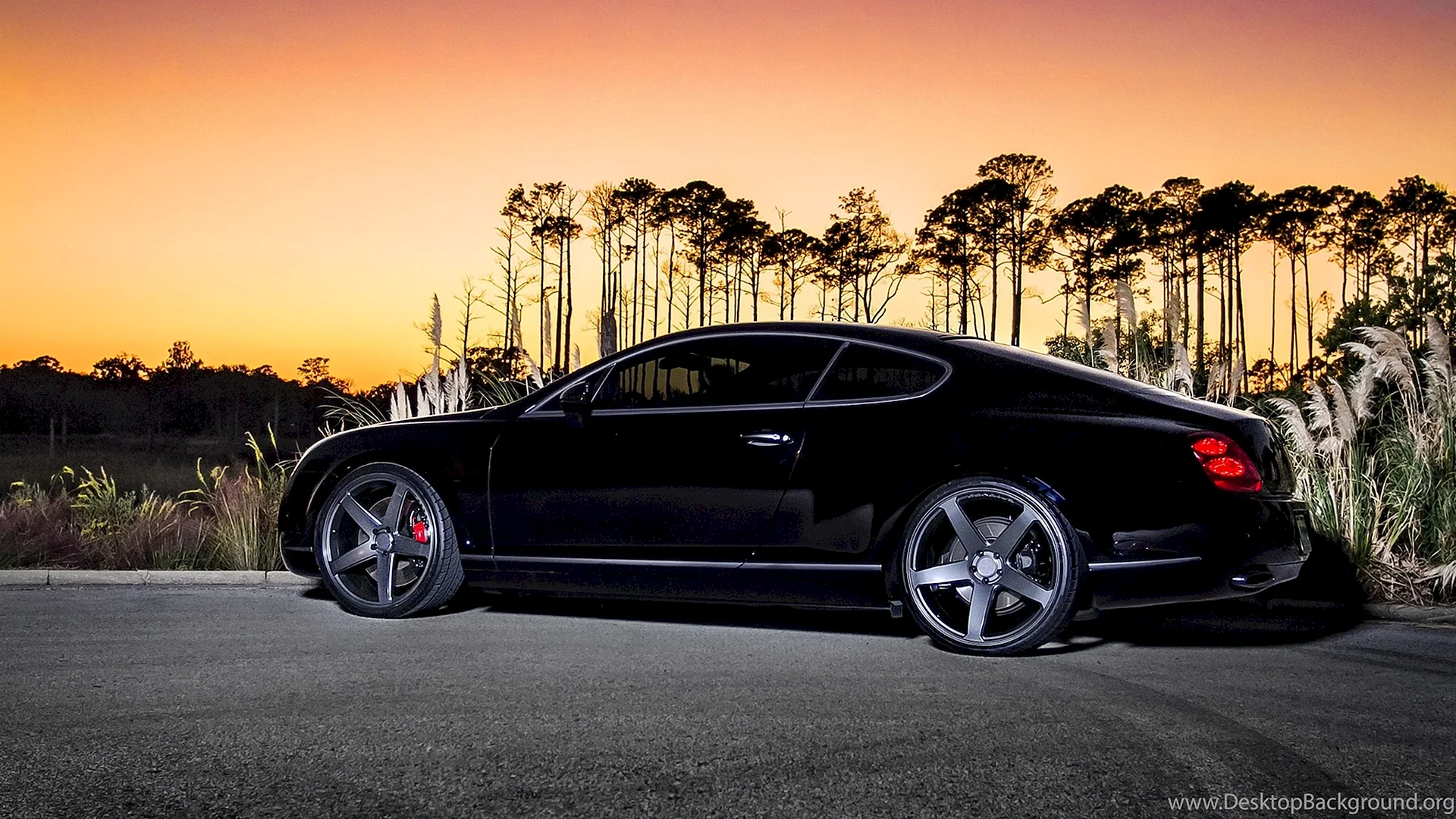 Continental Gt Tuning Wallpaper