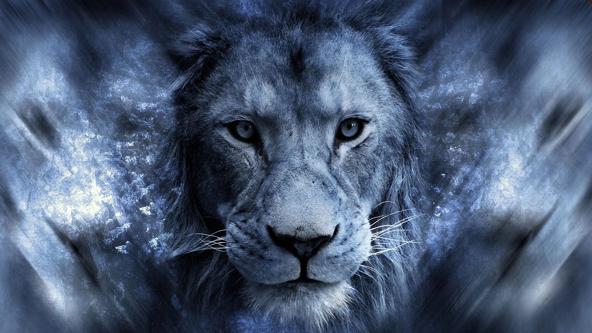 Cool Lion Wallpaper