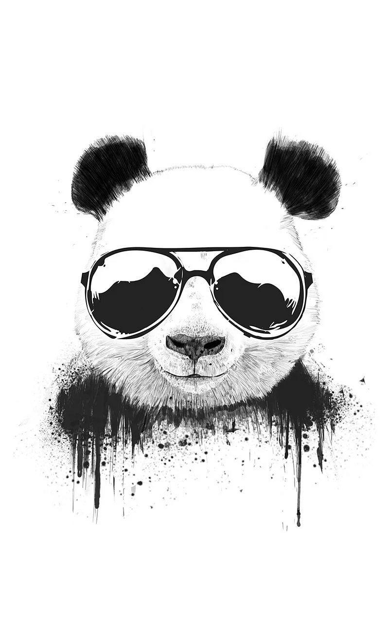 Cool Panda Wallpaper