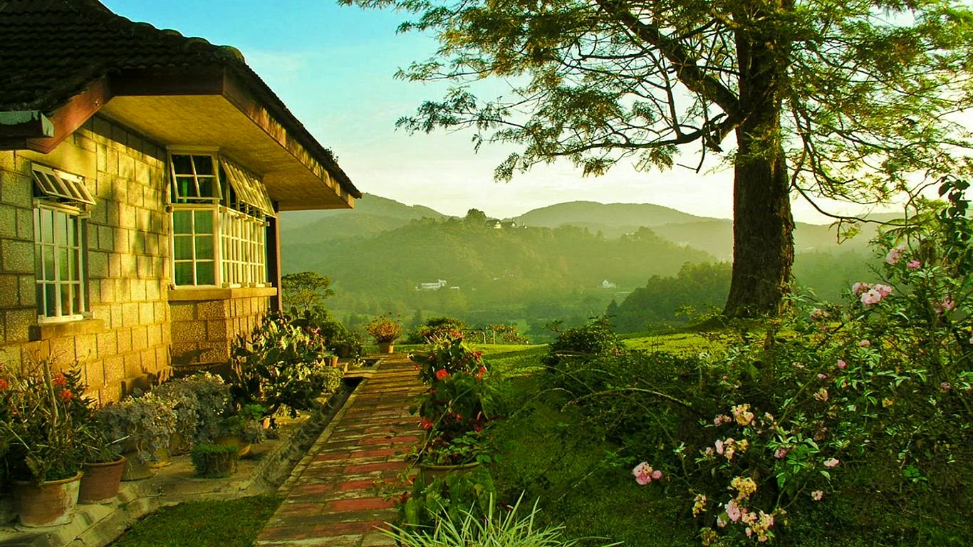 Cottage Wallpaper