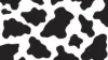 Cow Pattern Wallpaper