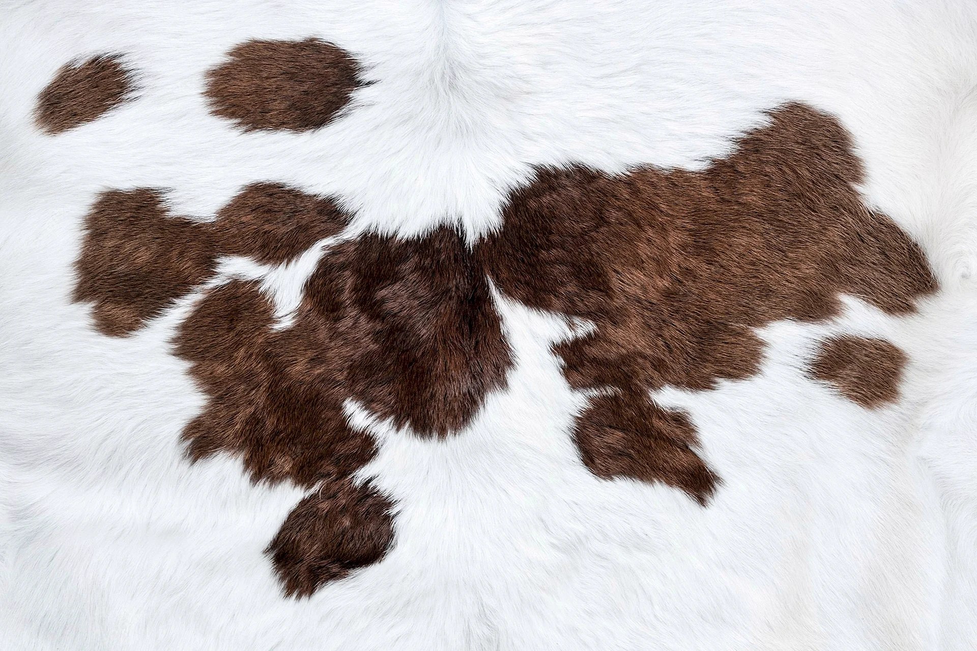 Cow Texture Wallpaper