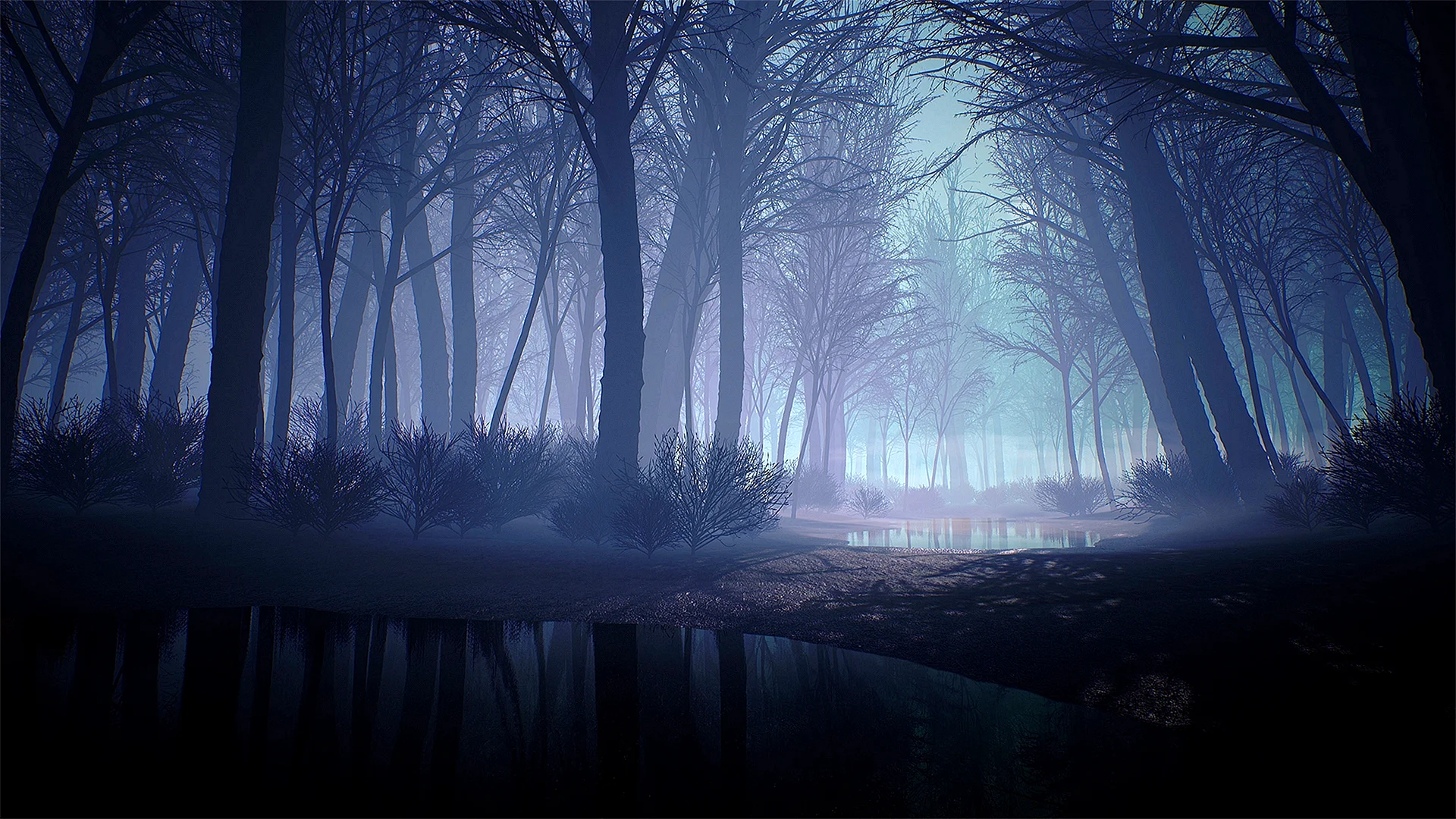 Creepy Forest Wallpaper